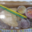 Kit de biscuits princesse sans gluten - Sans œufs et sans produits laitiers