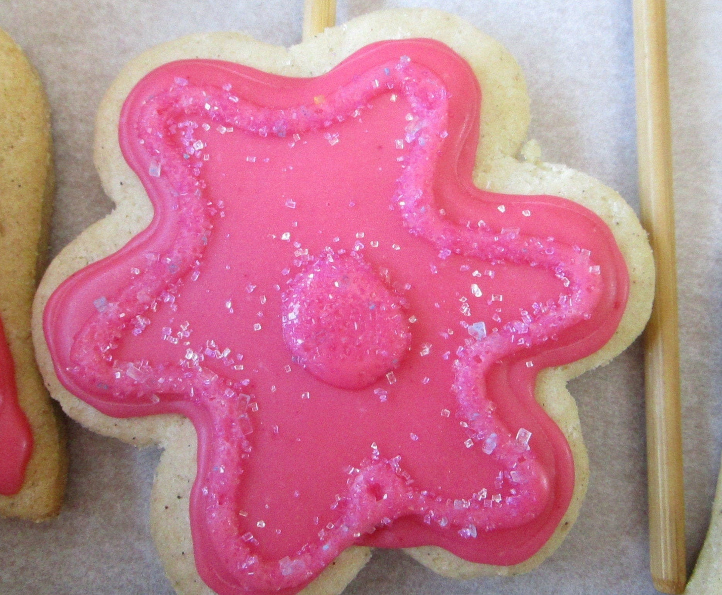 Gluten Free Iced Sugar Cookie Sampler - Vegan & Allergy Friendly