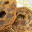 Donuts AIP Paleo à la Banane - Treat sans Gluten et Végétalien