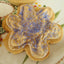 Maple Frosted AIP Paleo Cookies - Grain Free & Dairy Free
