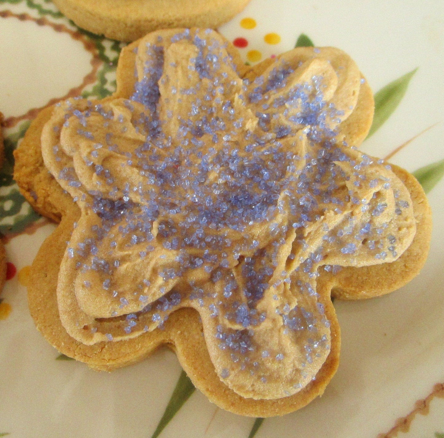 Maple Frosted AIP Paleo Cookies - Grain Free & Dairy Free