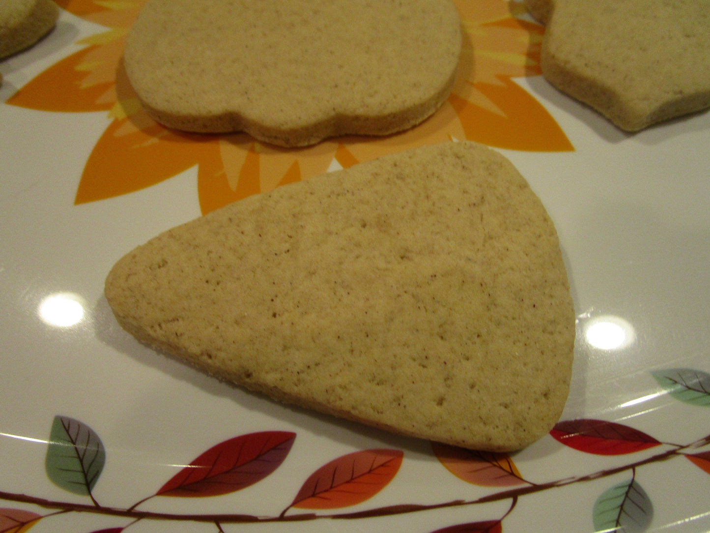 Kit de biscuits d'Halloween sans gluten - Sans produits laitiers et sûr pour l'école