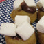 Mini Anneaux de Donuts S'mores Sans Gluten - Végétalien et Amical pour les Allergies
