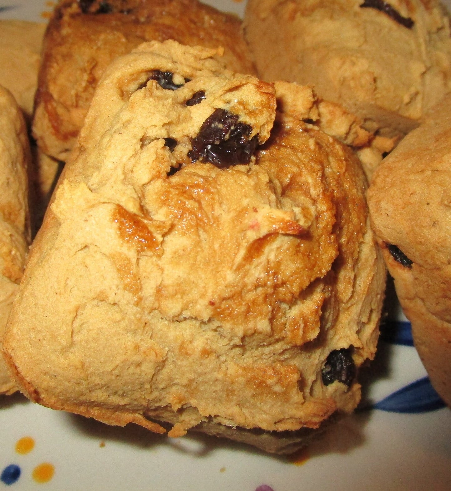 Cuadrados de Galleta Paleo Sin Gluten - Orgánicos y Deliciosos