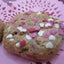 Galletas Veganas de Lactancia - Edición Sweetheart Love