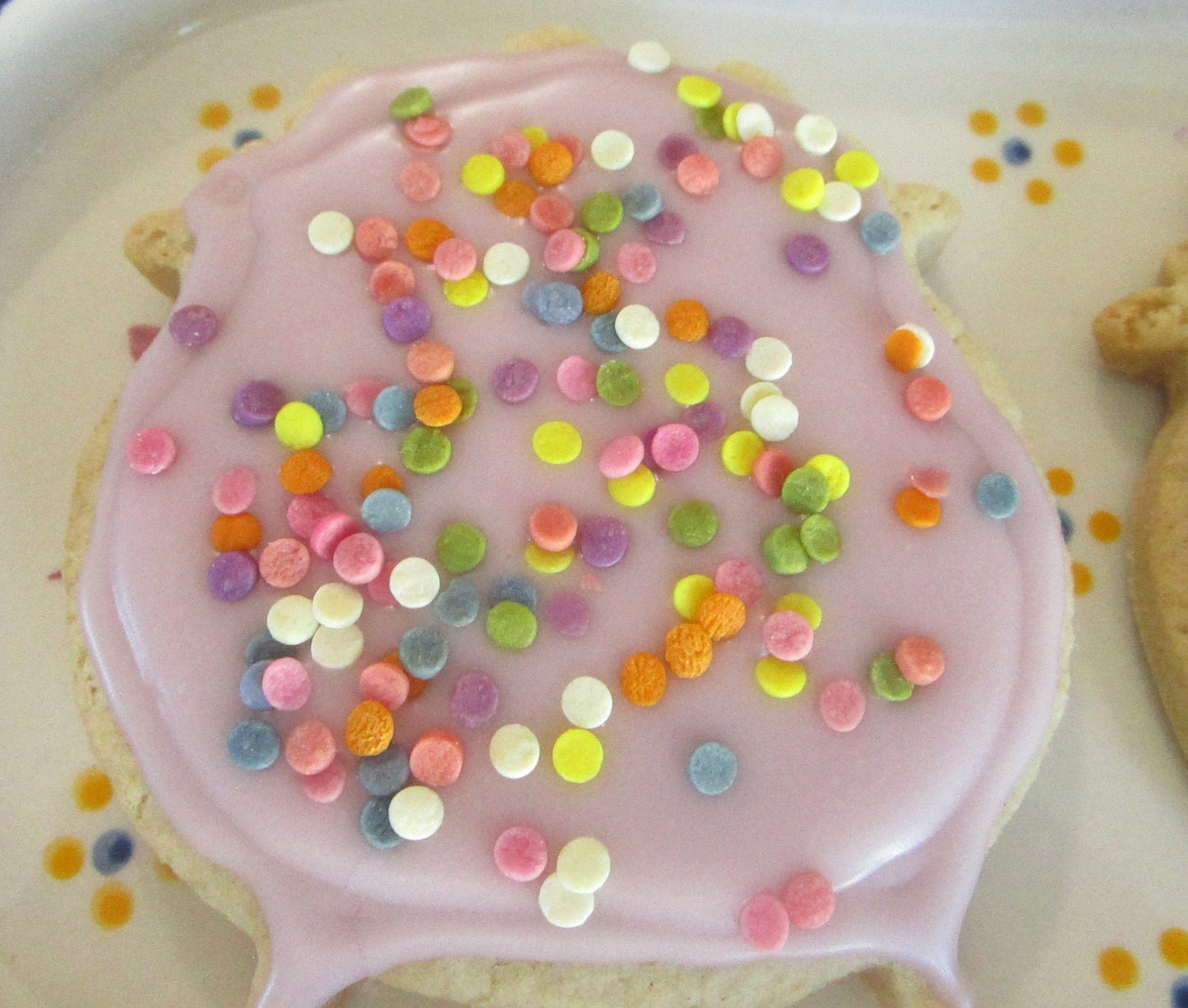 Gluten Free Iced Sugar Cookie Sampler - Vegan & Allergy Friendly