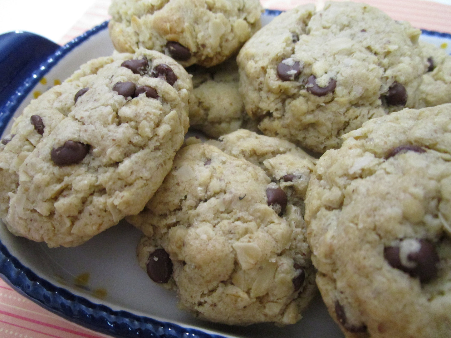 Galletas Premium Altas en Proteínas - Opciones Sin Gluten y Veganas