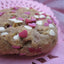 Galletas Veganas de Lactancia - Edición Sweetheart Love