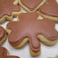 Chocolate S'mores Iced Gluten Free Sugar Cookies - Vegan & Allergy-Friendly
