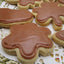 Chocolate S'mores Iced Gluten Free Sugar Cookies - Vegan & Allergy-Friendly