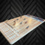 The Horse Race Game Plain Theme - Korvel