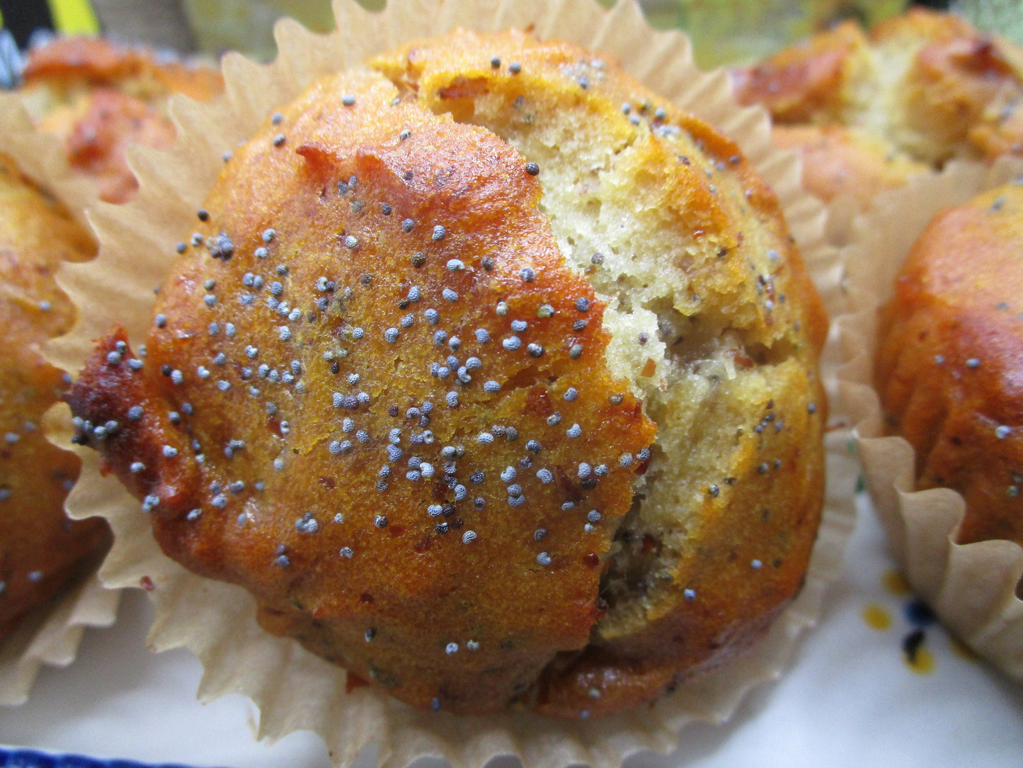Muffins Gourmet Sin Gluten - Sin Azúcar y Sin Lácteos