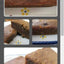 Coffret Cadeau Échantillon de Desserts Sans Sucre