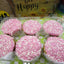 Premium Gluten Free Cupcakes - Vegan & Allergy Friendly