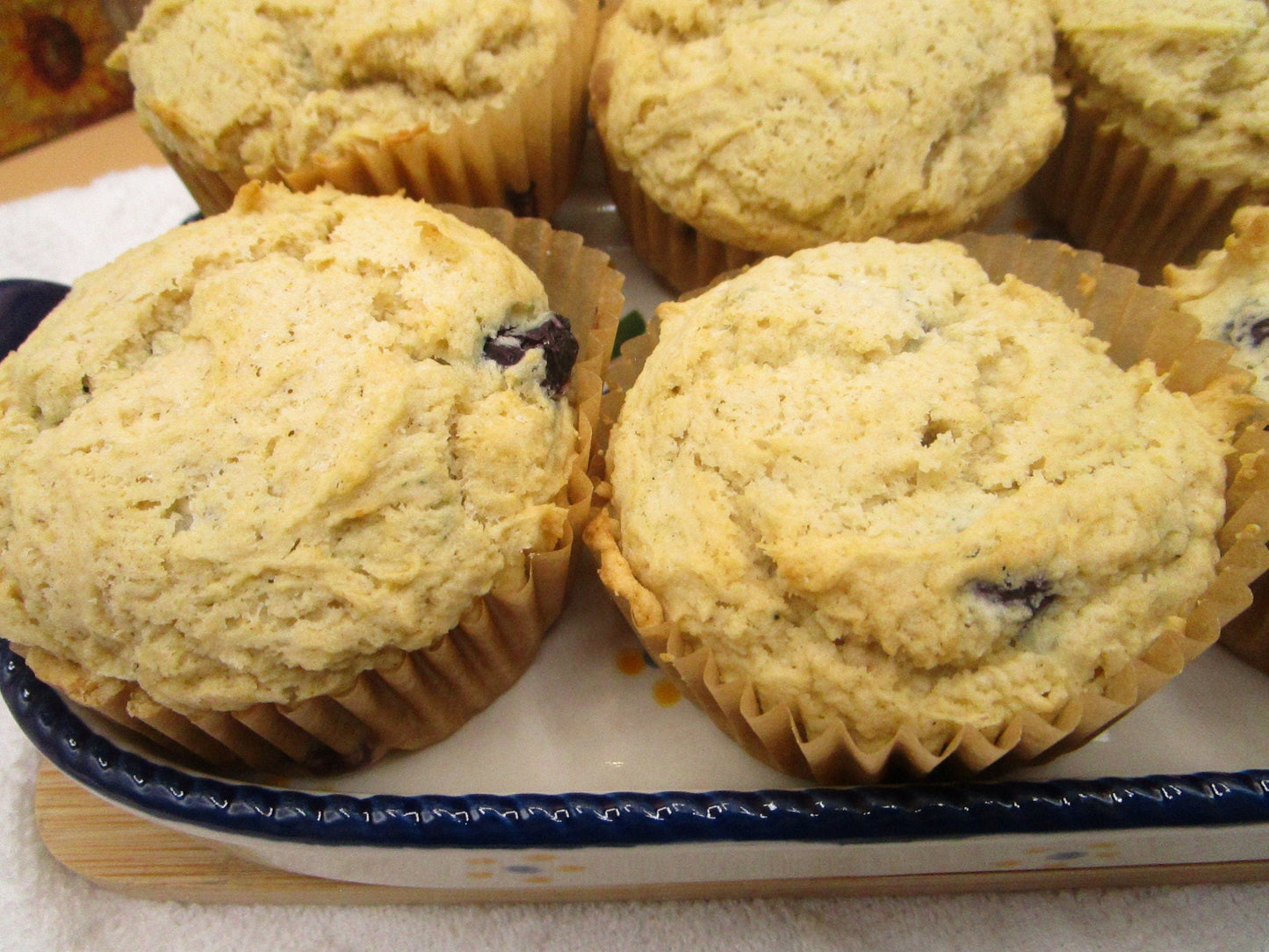 Muffins Premium Sin Gluten y Alto en Proteínas - Arándano y Más