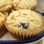 Muffins Premium Sin Gluten y Alto en Proteínas - Arándano y Más