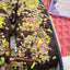 Brownies au guimauve gourmet - Végétalien et sans gluten
