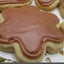 Biscuits glacés au sucre sans gluten Gourmet Smores