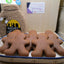 Biscuits en Pain d'Épices Sans Gluten - Végétalien et Sans Produits Laitiers