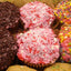 Cupcakes Gourmets Sans Gluten - Délices Végans et Sans Produits Laitiers