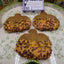 Biscuits au chocolat bio sans gluten - Édition citrouille