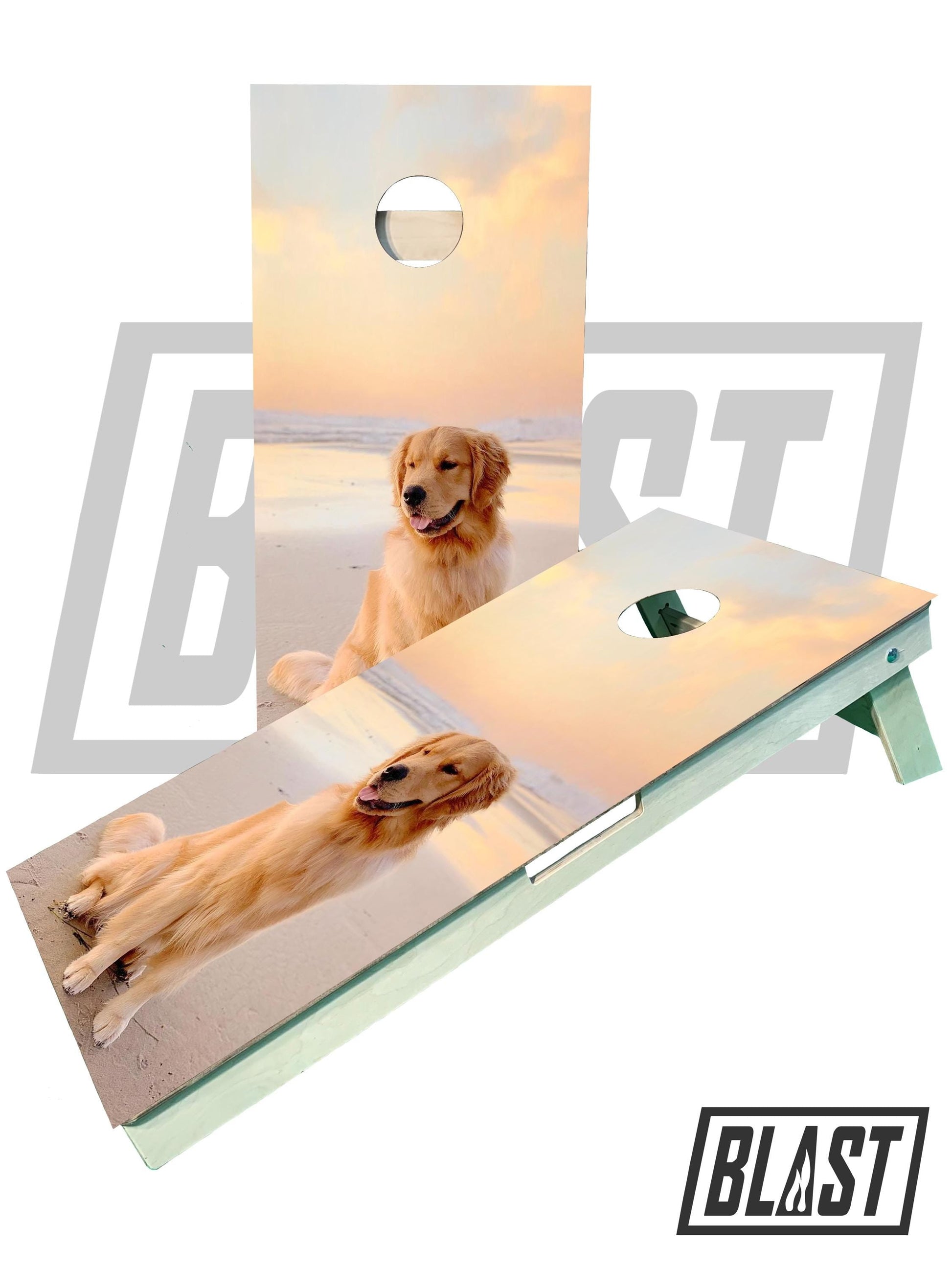 Personalized Pet-Themed Cornhole Boards for Weddings - Korvel