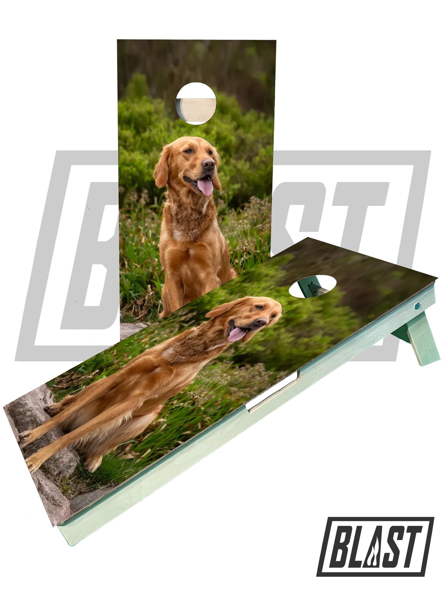 Personalized Pet-Themed Cornhole Boards for Weddings - Korvel