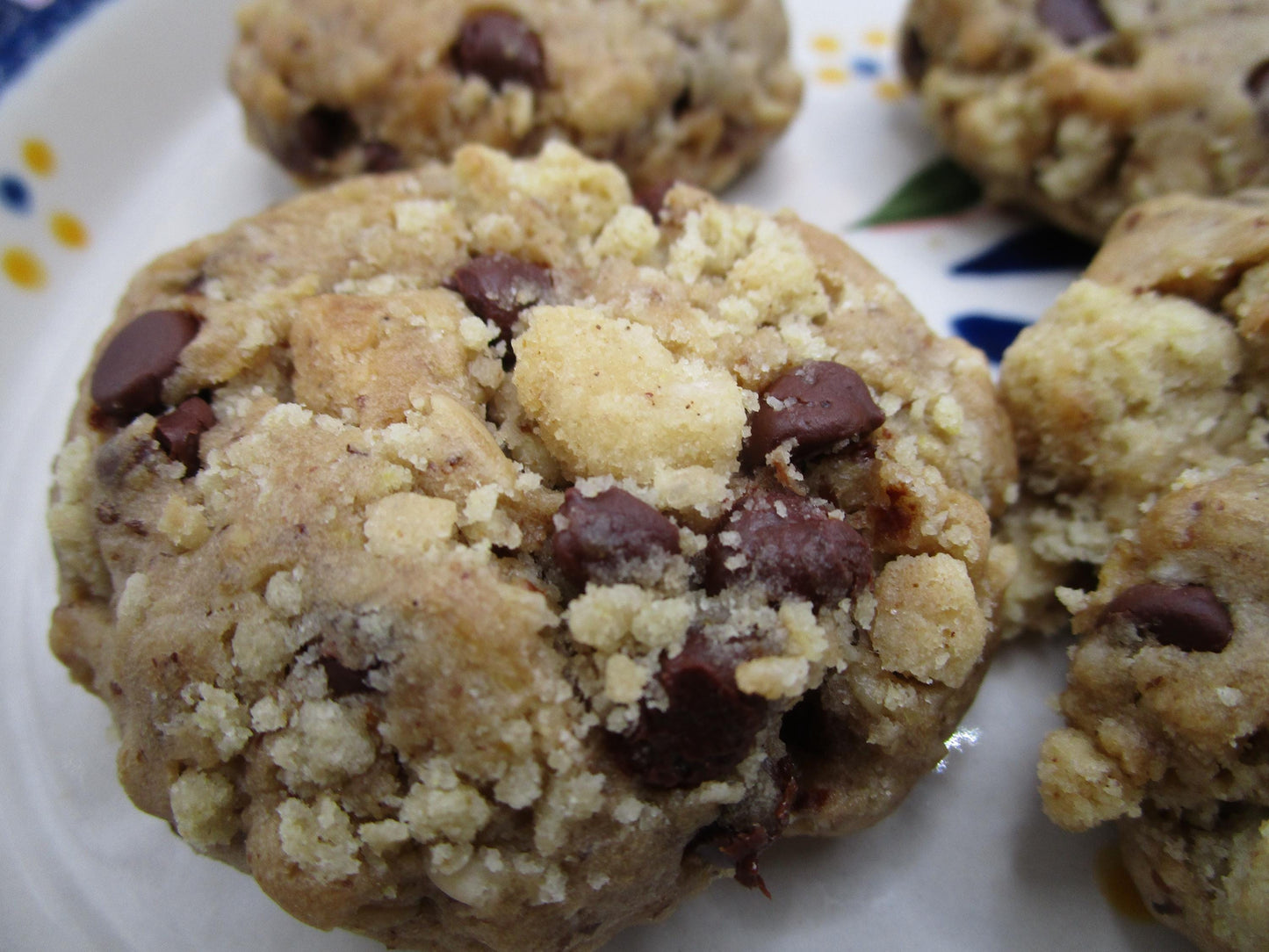 Galletas de Lactancia Premium Alta en Proteínas - Sin Gluten y Sin Lácteos