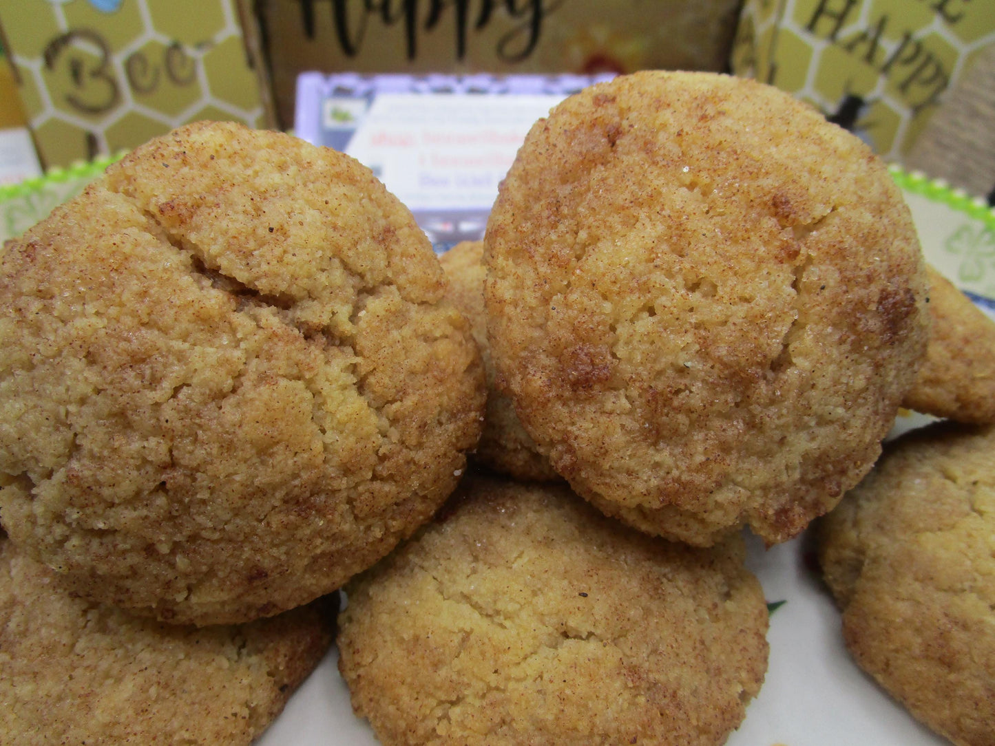High Protein Gingerbread Cookies - Gluten Free & Vegan