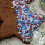 Gluten Free Chocolate Chip Star Cookies - Vegan & Allergy Friendly