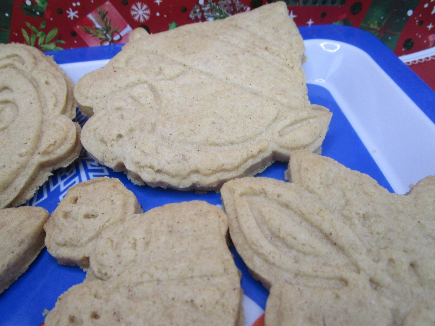 Gluten Free Cookie Decorating Kits - Holiday Fun