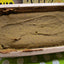 Gâteau à la citrouille épicé au matcha sans gluten - Végétalien et sans noix