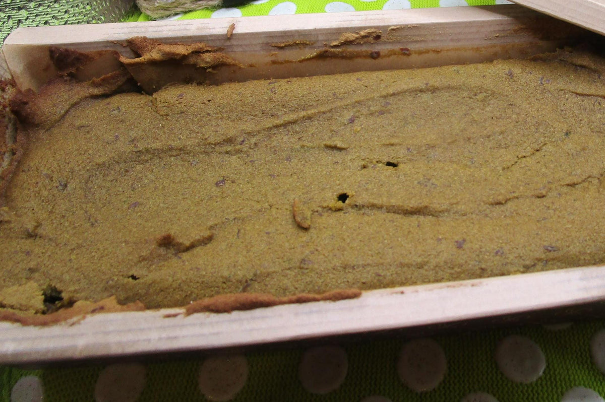 Pan de Té Verde Matcha Alto en Proteínas - Vegano y Sin Gluten