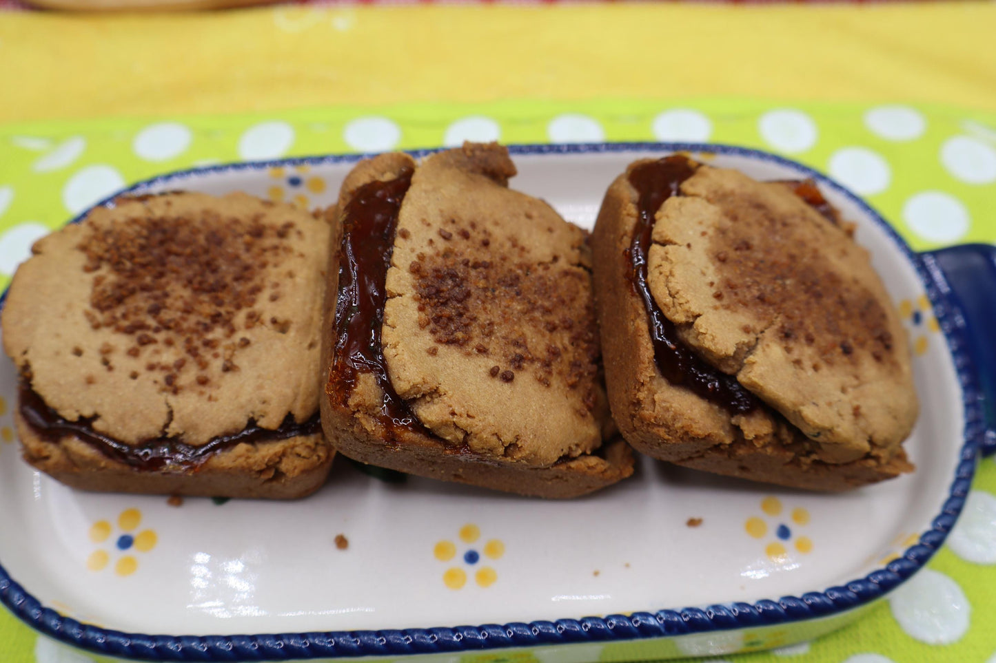 AIP Paleo Breakfast Fruit Square - Vegan, Grain Free, Soft Baked