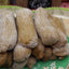 Biscotti Lady Fingers Sans Gluten - Végétalien & Sans Produits Laitiers