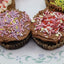 Cupcakes sans gluten premium - Végétalien et sans allergènes
