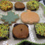 Forfaits de fête de Thanksgiving - Desserts sans gluten et véganes