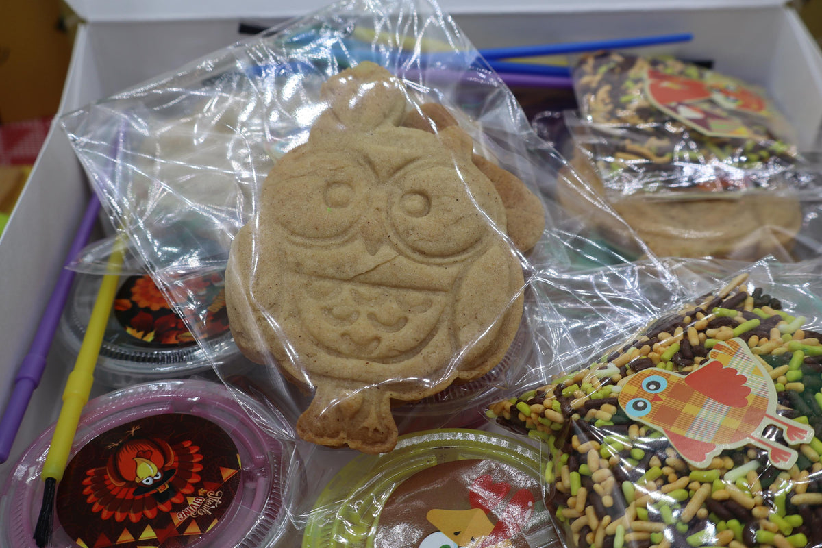 Gluten Free Halloween Cookie Kit - Dairy Free & School Safe