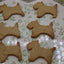 Premium Gluten Free Shortbread Cookies - Vegan & Allergy Friendly
