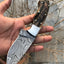 Premium Damascus Steel Hunting Knife with Sheep Horn Handle - Korvel