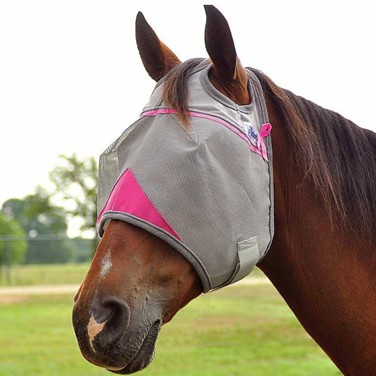 Breast Cancer Awareness Crusader Fly Mask - Standard Pink - Korvel