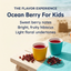 Ocean Berry for Kids - Organic Caffeine-Free Loose Leaf Tea