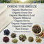 Blueberry Beach Breeze Loose Leaf Tea