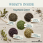 Haystack Green Tea Blend