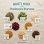 Peninsula Harvest Loose Leaf Tea