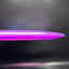 Z Line Undertaker - Paige Pierce 5x Signature Series Disc