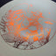 Glow D-Blend Chariot - Limited Edition Disc Golf Disc