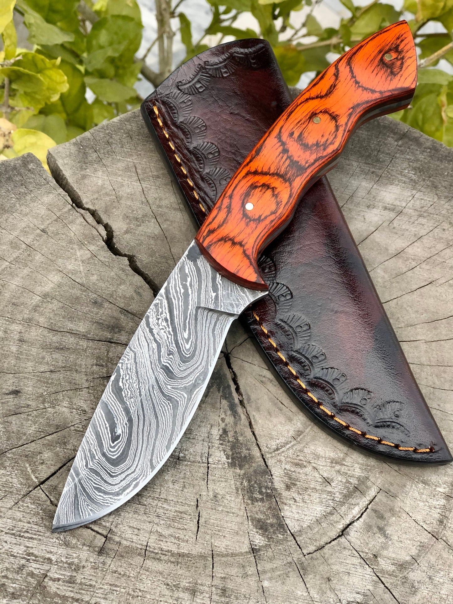 Premium Damascus Steel Skinning Knife for Hunters - Korvel