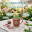 Rose City Rooibos Organic Loose Leaf Tea