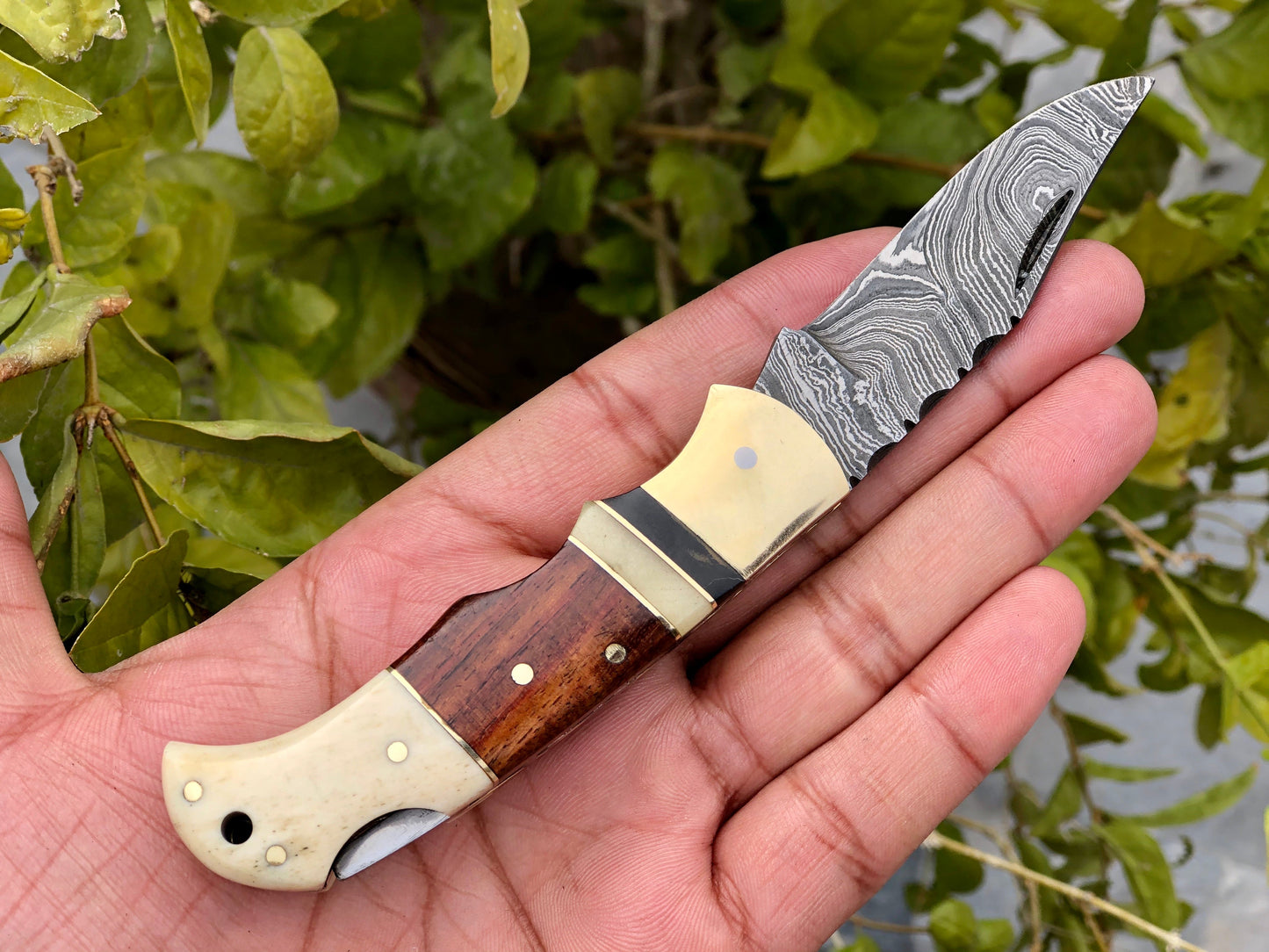 Artisan Crafted Damascus Steel Compact Folding Knife with Bone and Rosewood Handle - Korvel